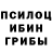 Псилоцибиновые грибы GOLDEN TEACHER dkdi hasy