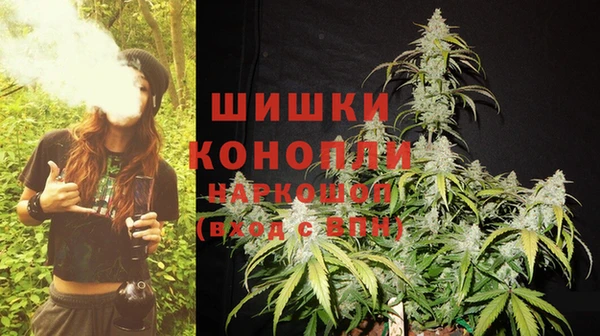 ешки Алзамай