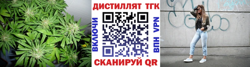 как найти   Чехов  ТГК концентрат 