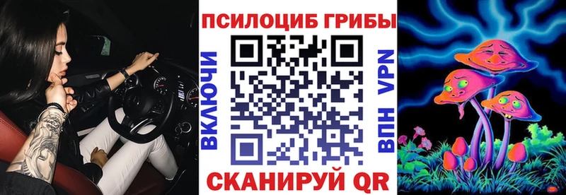 где купить наркоту  Чехов  Галлюциногенные грибы GOLDEN TEACHER 